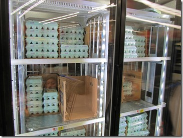 IMG_0398 IMG_0398