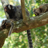DSC00453.JPG