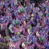Carnival at the Sambo Dromo