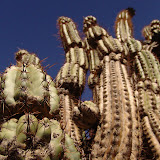 082 April 2006 Tupiza, Bolivia Horseback riding through the canyons - 2 day trip.JPG