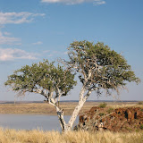 At Hardap Dam