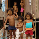 290 Feb 2006 Caxiuana Ferreira Penna Scientific Research Station.JPG