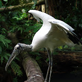 DSC00968.JPG