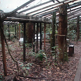 090 Feb 2006  Caxiuana Ferreira Penna Scientific Research Station El Nino area.JPG