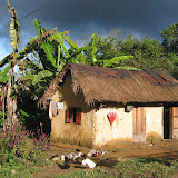 469 July 2005 Ranomafana, Madagascar.JPG