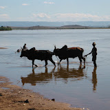 133 June 2005  Miandravazo, Madagascar the Tsiribihina River.JPG