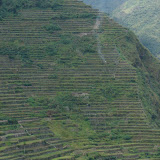 Rice terraces of Batad.