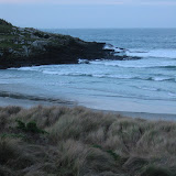 048 August 2005 New Zealand Otago Peninsula near Dunedin yellow-eyed penguin.JPG