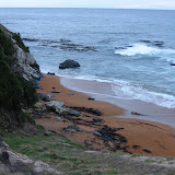063 August 2005 New Zealand Moeraki yellow-eyed penguin near lighthouse.JPG