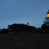 066 August 2005 New Zealand Moeraki lighthouse.JPG