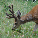 DSC09127.JPG