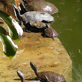 DSCN0227.JPG