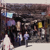 DSCN0255.JPG