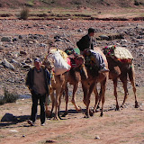 DSCN0273.JPG