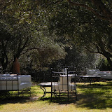 DSCN0295.JPG