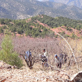 DSCN0363.JPG