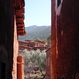 DSCN0400.JPG