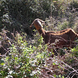 DSCN0415.JPG