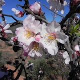 DSCN0470.JPG