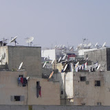 DSCN0590.JPG