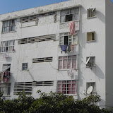 DSCN0592.JPG