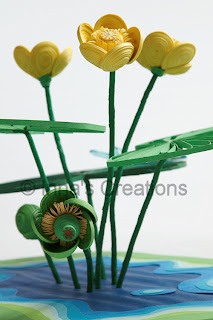 Quilled Nuphar fruit