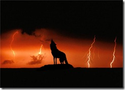 Moon_wolf Moon_wolf