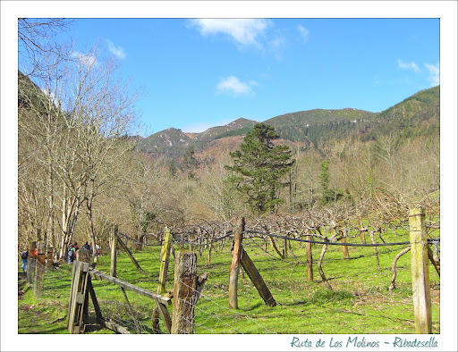 Ruta de Los Molinos - CaminAstur