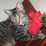 Lucy - Sept.