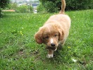 IMG_1159.JPG