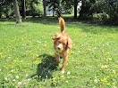 IMG_2399.JPG