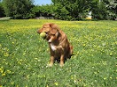 IMG_2405.JPG