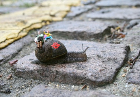 [snail bus 1 - blog[3].jpg]