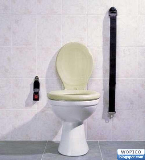 Seat Belt Toilet