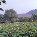 niwa.jpg
