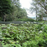 l_20090828111219.JPG