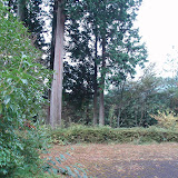 PB200024.JPG