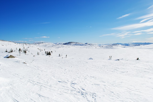 [2011-03-20 092[7].jpg]