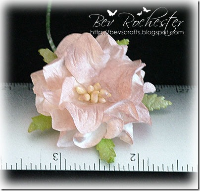 gardenias6 gardenias6