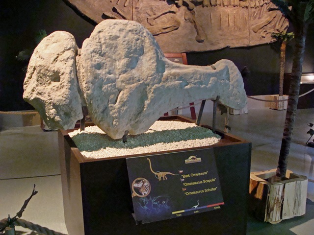 [DSC056662.jpg]