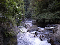 溪水很急 Photo