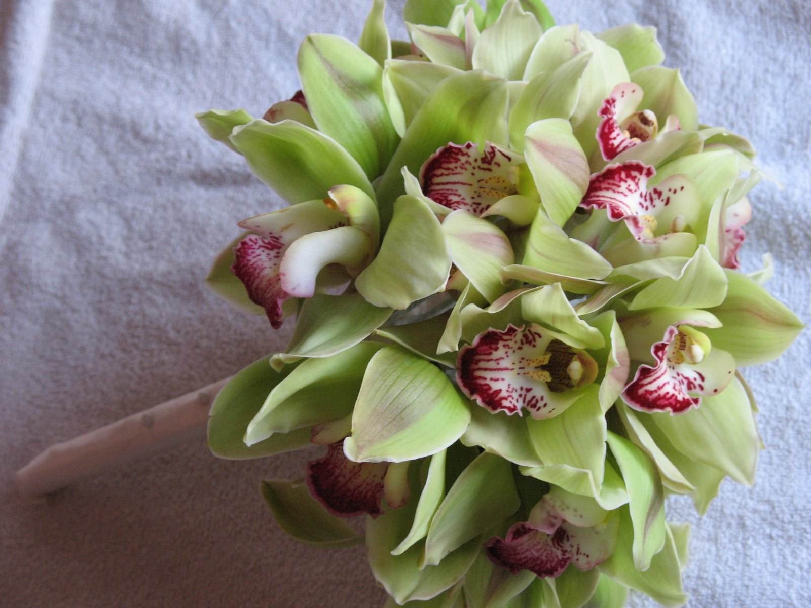 free pictures of different types of flowers combined