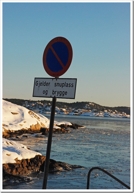 DSC_0275_edited-1