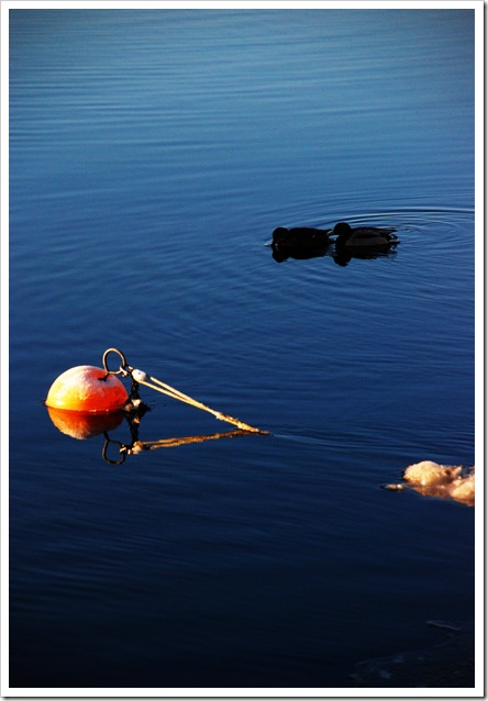 DSC_0280_edited-1