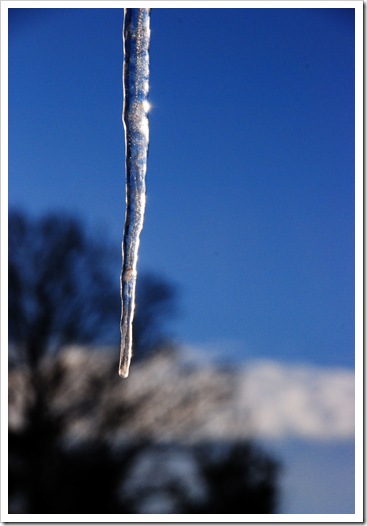 DSC_0295_edited-1