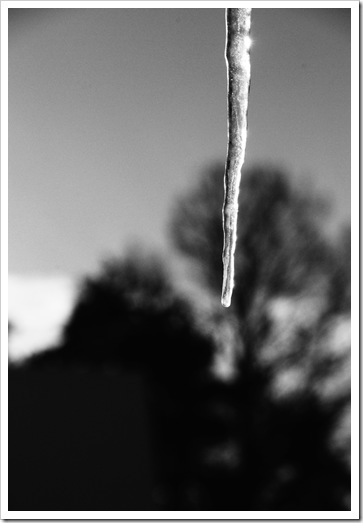DSC_0297_edited-1