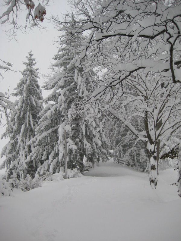 image109.jpg