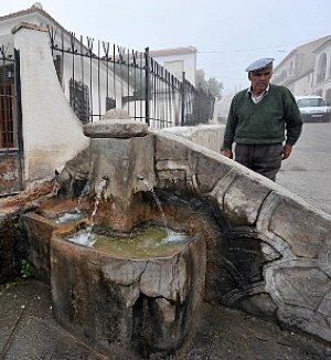 [2404745[3].jpg]