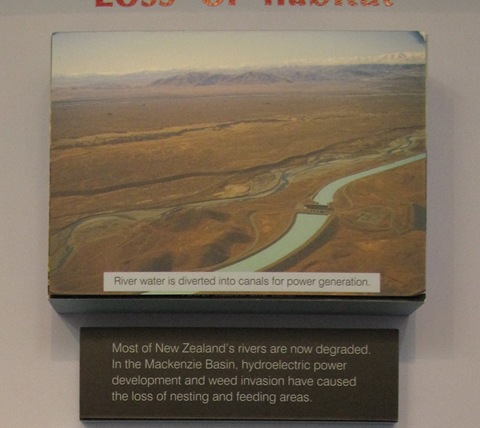 [habitat loss_power generation[6].jpg]