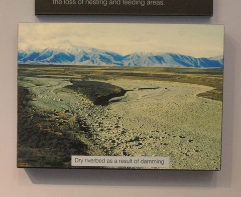 [habitat loss_dry riverbed[6].jpg]